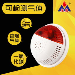 永康牌電化學一氧化碳煤氣co泄漏報警器產(chǎn)品圖片高清大圖